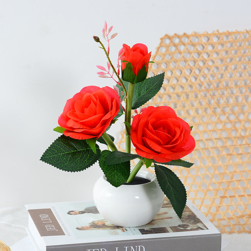 Veilleuse LED Rose - Créez une Ambiance Décorative Douce