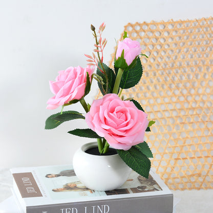 Veilleuse LED Rose - Créez une Ambiance Décorative Douce